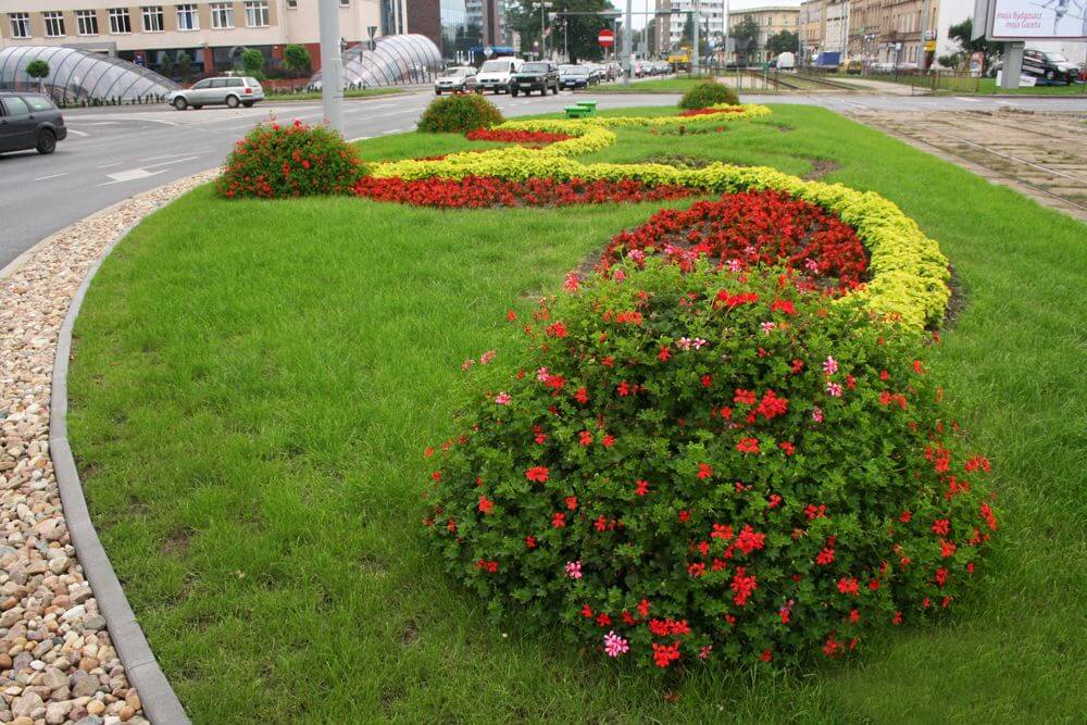 растения для городского озеленения фото